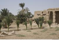 Photo Texture of Landscape Dendera 0192